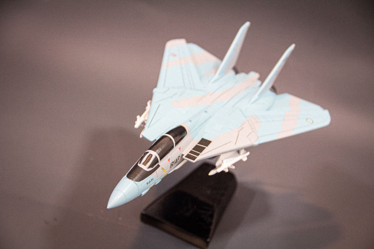 ماکت هواپیما تامکت F-14A