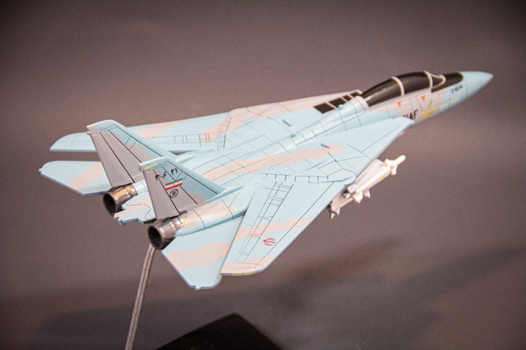 ماکت هواپیما تامکت F-14A
