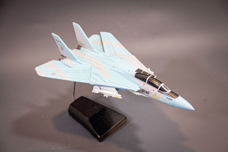 ماکت هواپیما تامکت F-14A