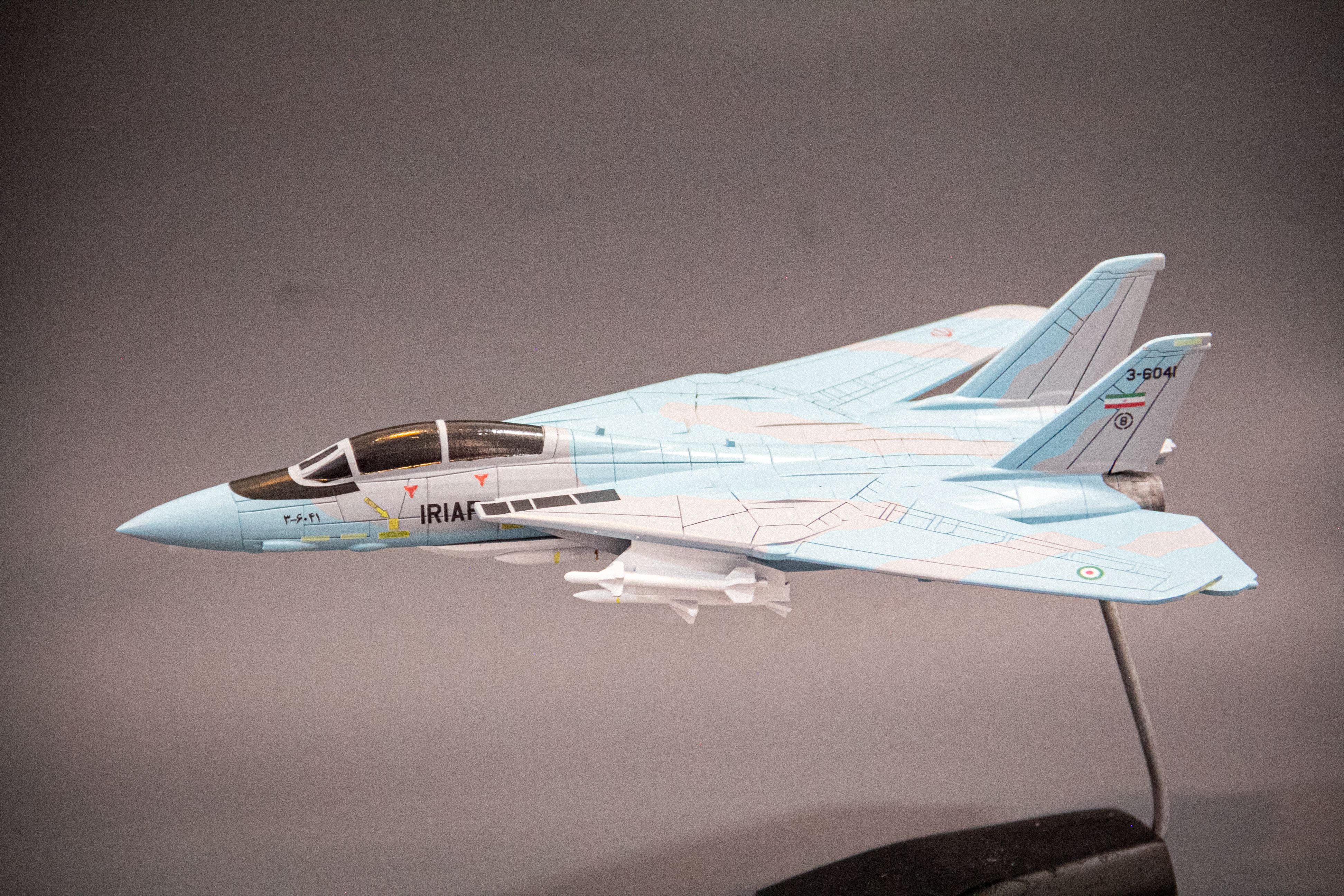 ماکت هواپیما تامکت  F-14A