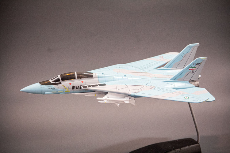 ماکت هواپیما تامکت F-14A