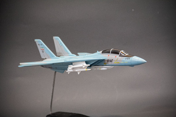 ماکت هواپیما تامکت F-14A