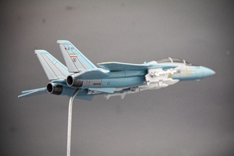ماکت هواپیما تامکت F-14A