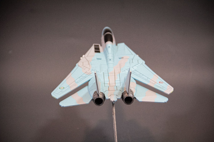 ماکت هواپیما تامکت F-14A
