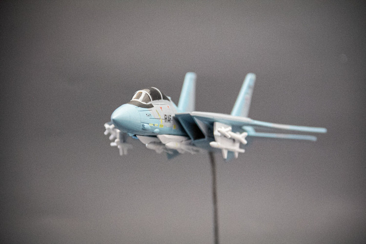 ماکت هواپیما تامکت F-14A