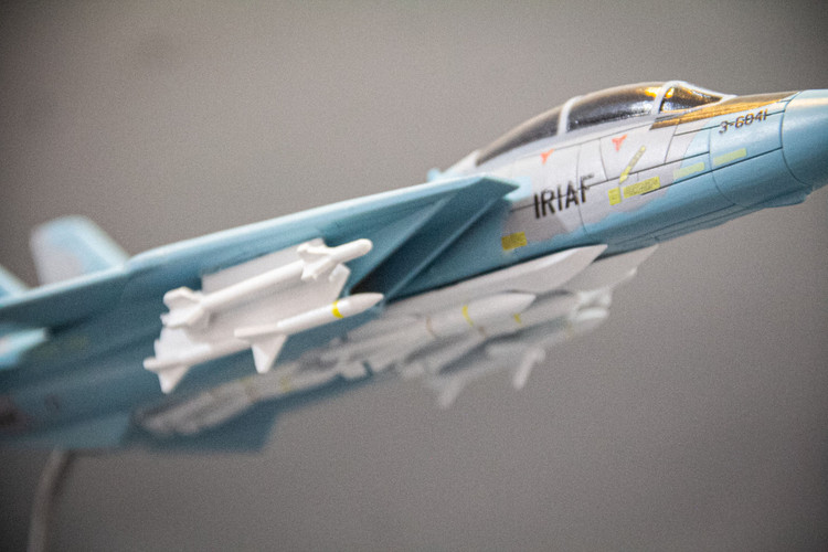 ماکت هواپیما تامکت F-14A