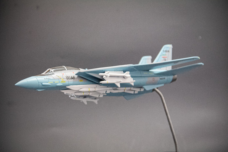 ماکت هواپیما تامکت F-14A