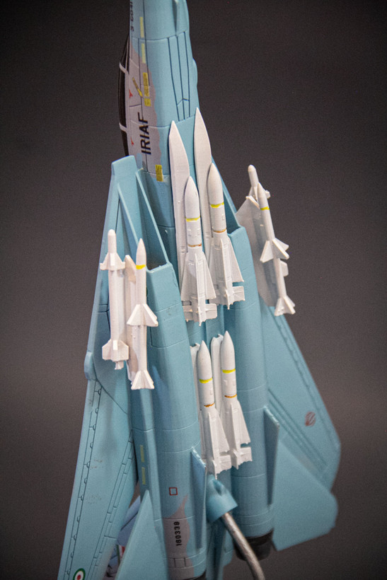ماکت هواپیما تامکت F-14A