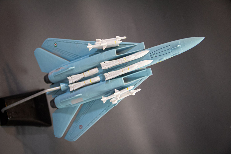 ماکت هواپیما تامکت F-14A