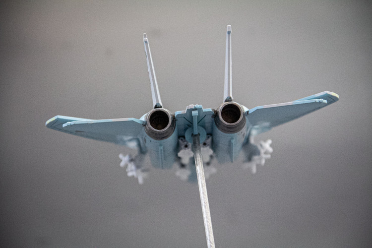 ماکت هواپیما تامکت F-14A
